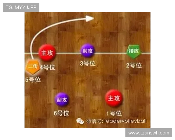 杭州排球队快攻战术解析与实战应用研究 杭州排球队快攻战术解析与实战应用研究