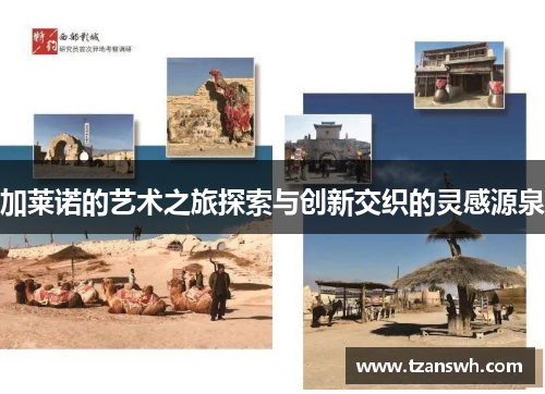 加莱诺的艺术之旅探索与创新交织的灵感源泉
