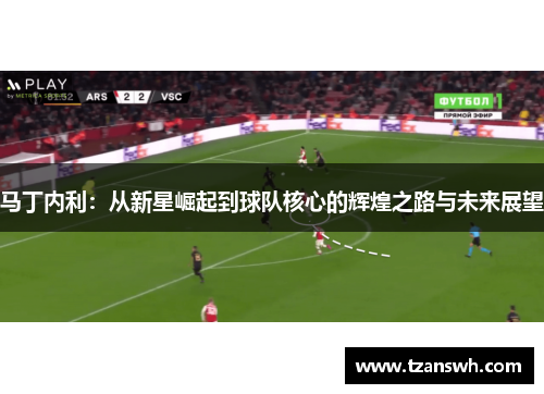 马丁内利：从新星崛起到球队核心的辉煌之路与未来展望